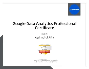 google data analytics professional certificate