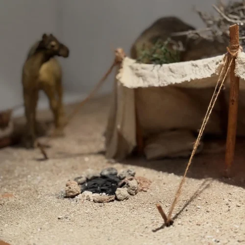 A desert campsite with a small fabric tent supported by wooden poles, a ring of stones around a cold campfire, and a miniature camel standing blurred in the background-freelance digital marketing strategist in Abu Dhabi